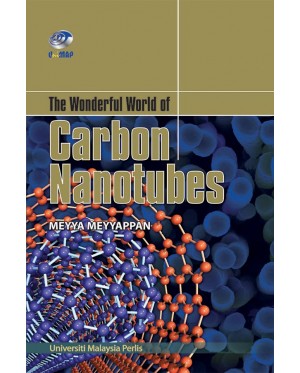 The Wonderful World of Carbon Nanotubes