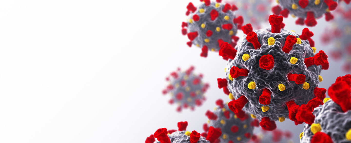 Corona Virus Updates